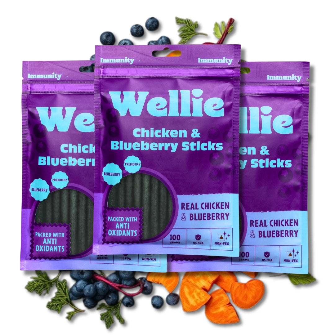 Wellie Chicken and Blueberry Sticks