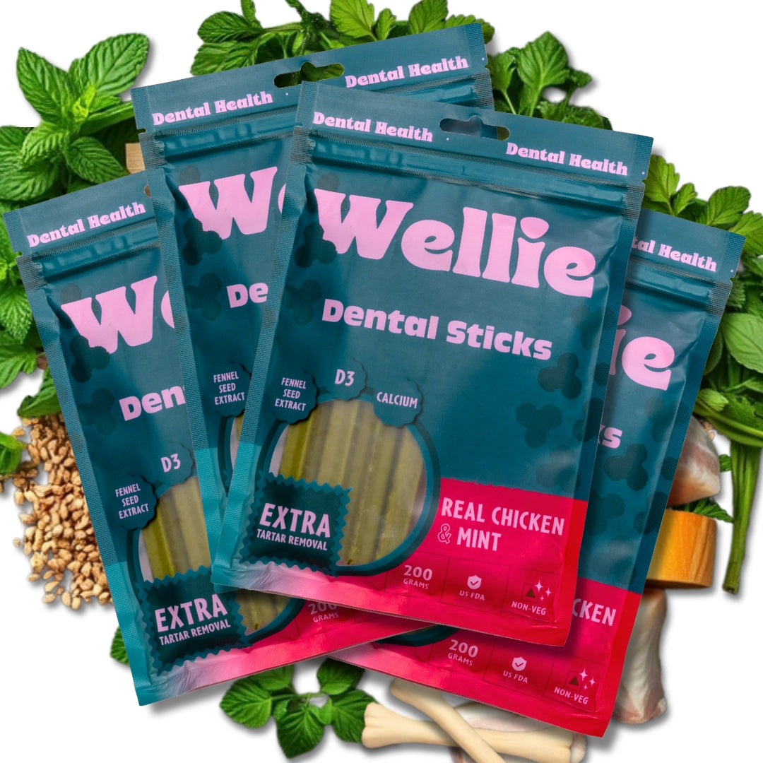 Wellie Dental Sticks