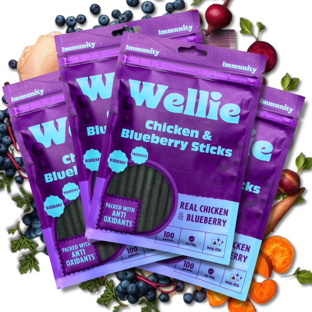 Wellie Chicken and Blueberry Sticks