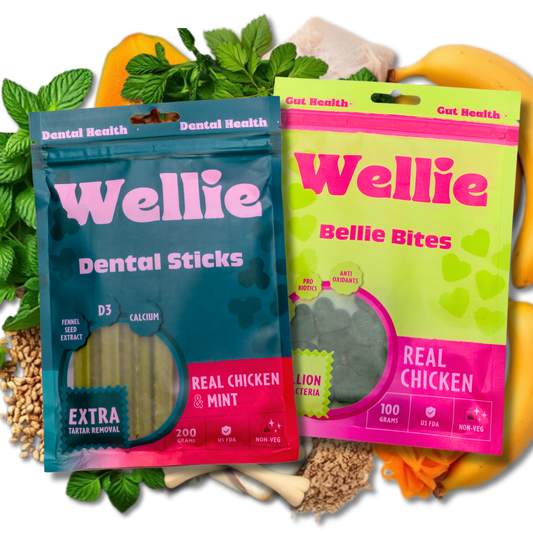 Wellie Oral Health Bundle