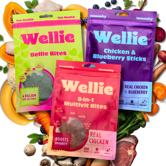 Wellie Immunity Boost Bundle