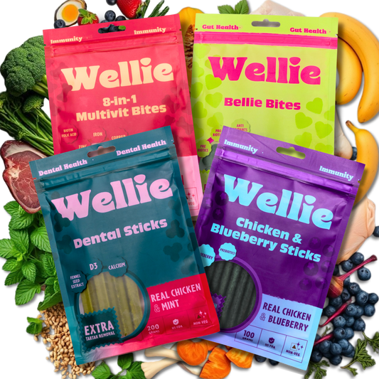 Wellie Ultimate Health Combo