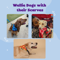 Load image into Gallery viewer, Wellie Scarf
