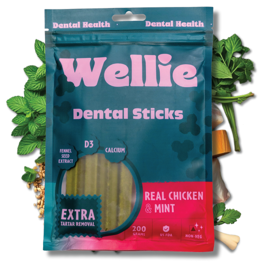 Wellie Dental Sticks