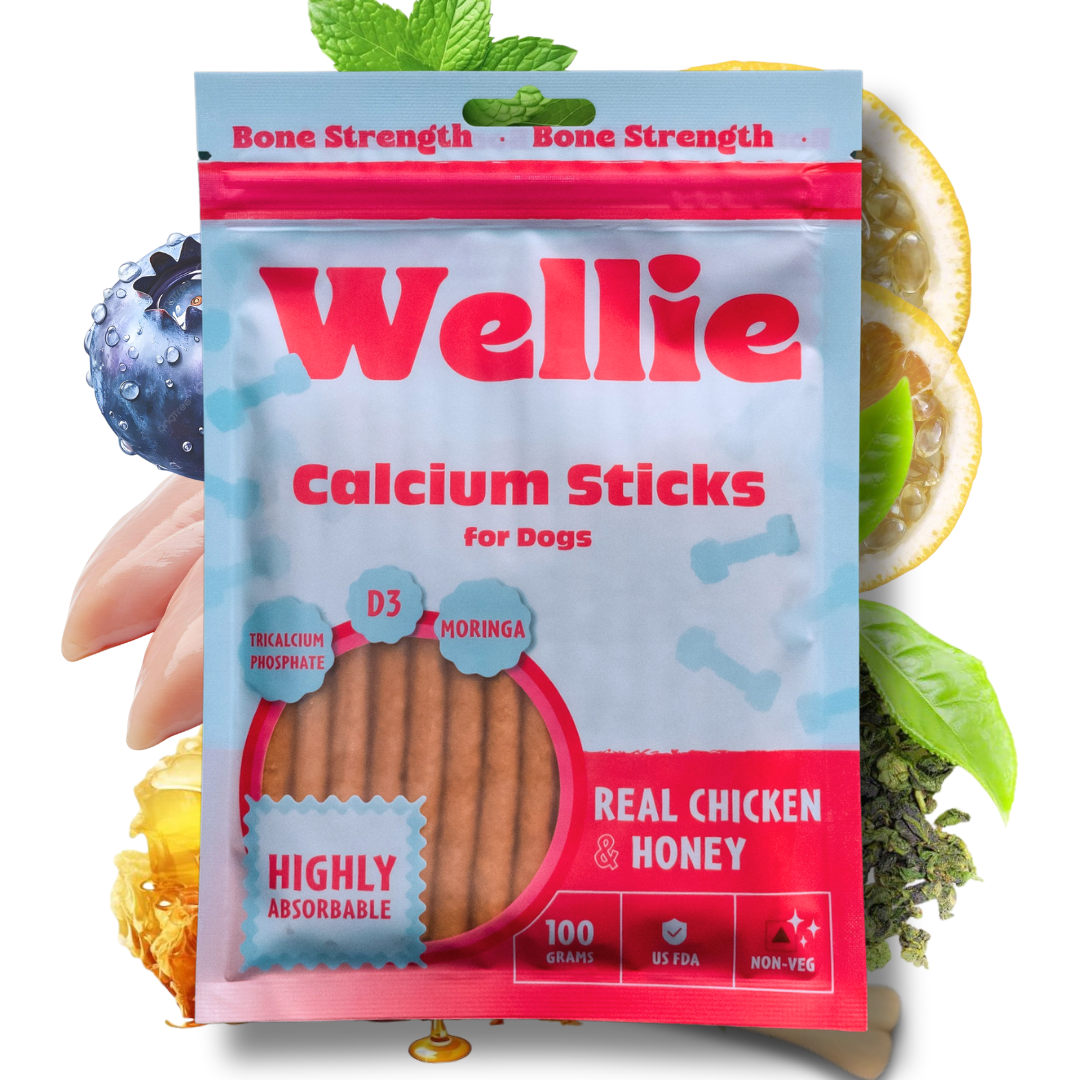 Wellie Calcium Sticks for dogs packaging with ingredients on a white background