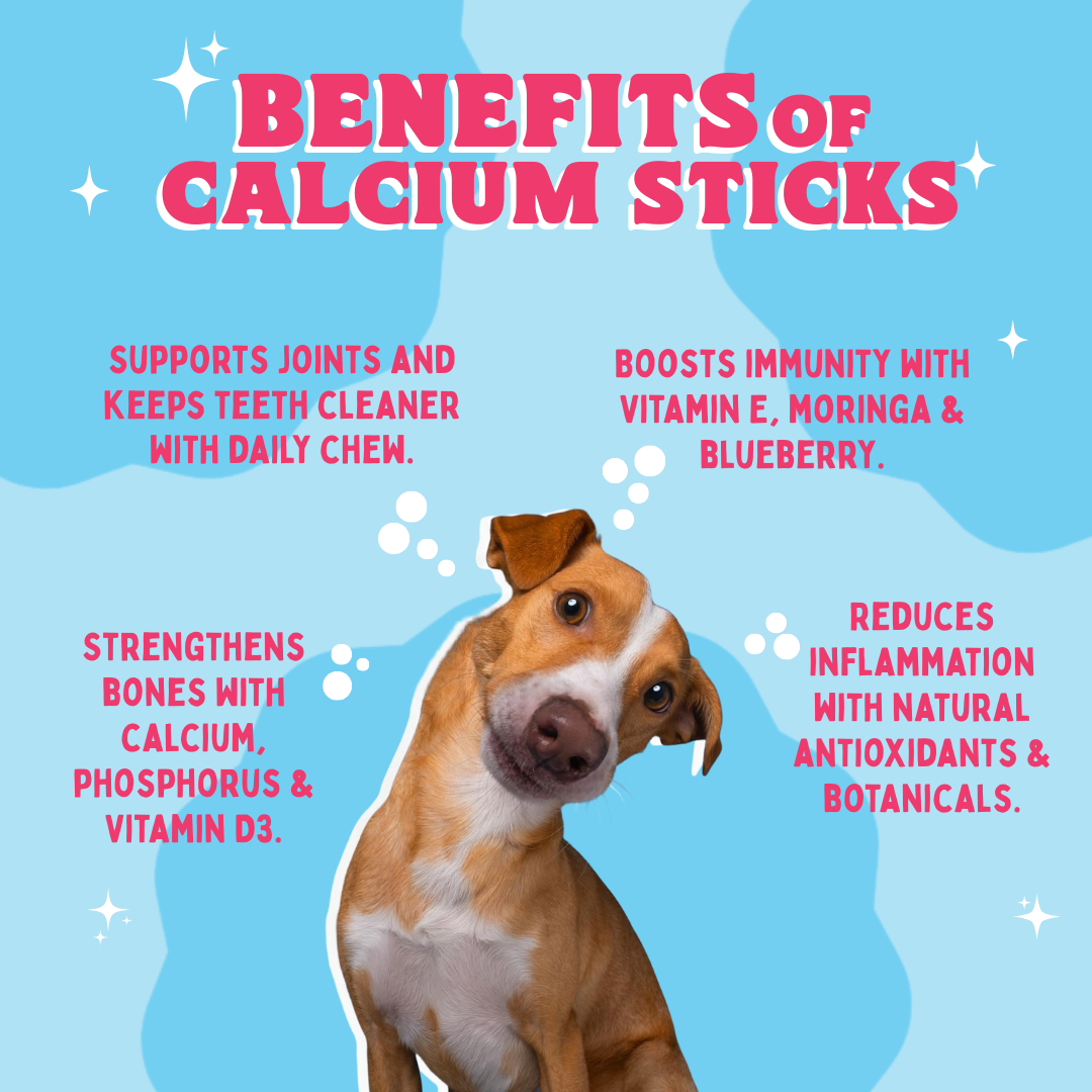 Dog with text about the benefits of calcium sticks on a blue background