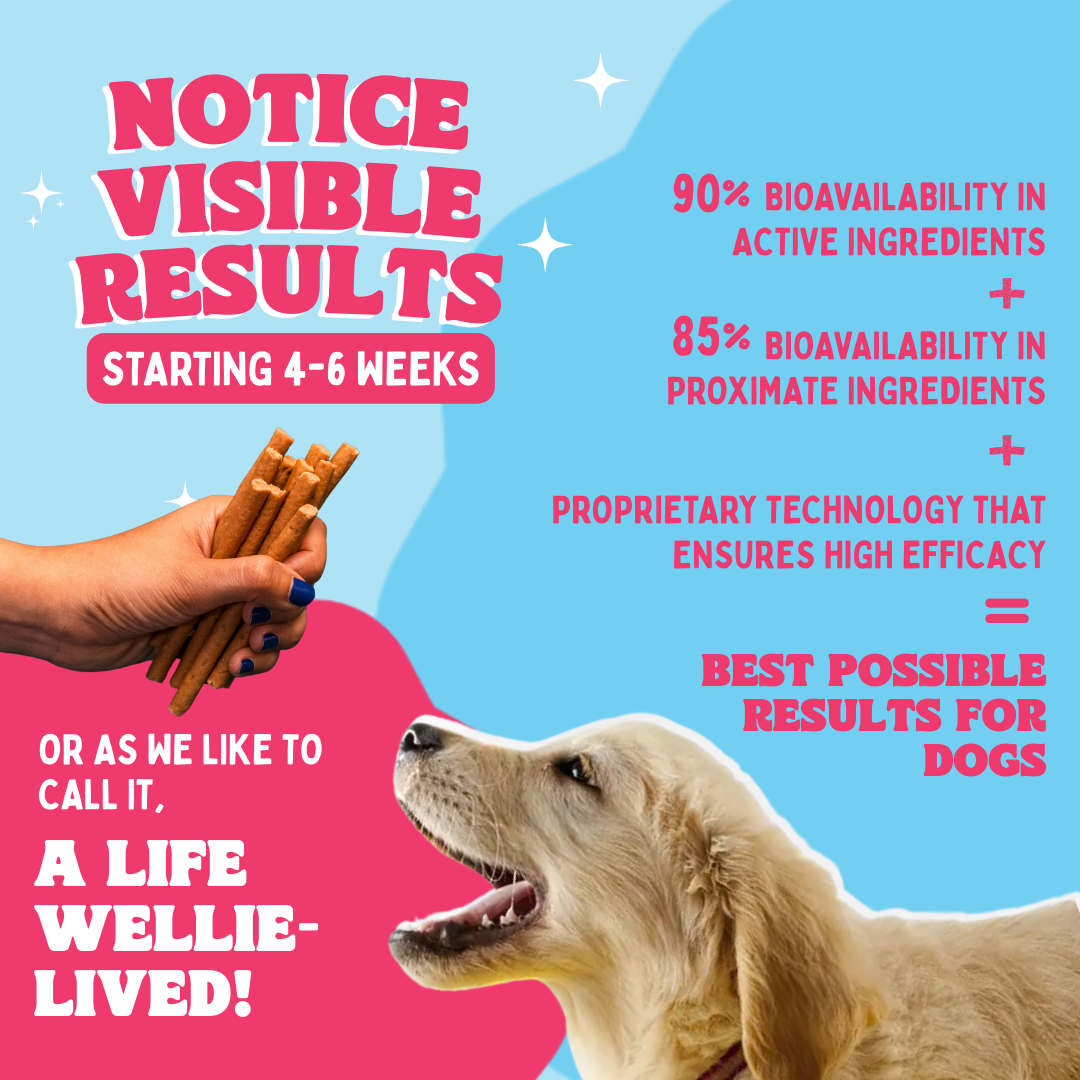 Dog receiving treats from a hand with promotional text about product efficacy on a pink and blue background.