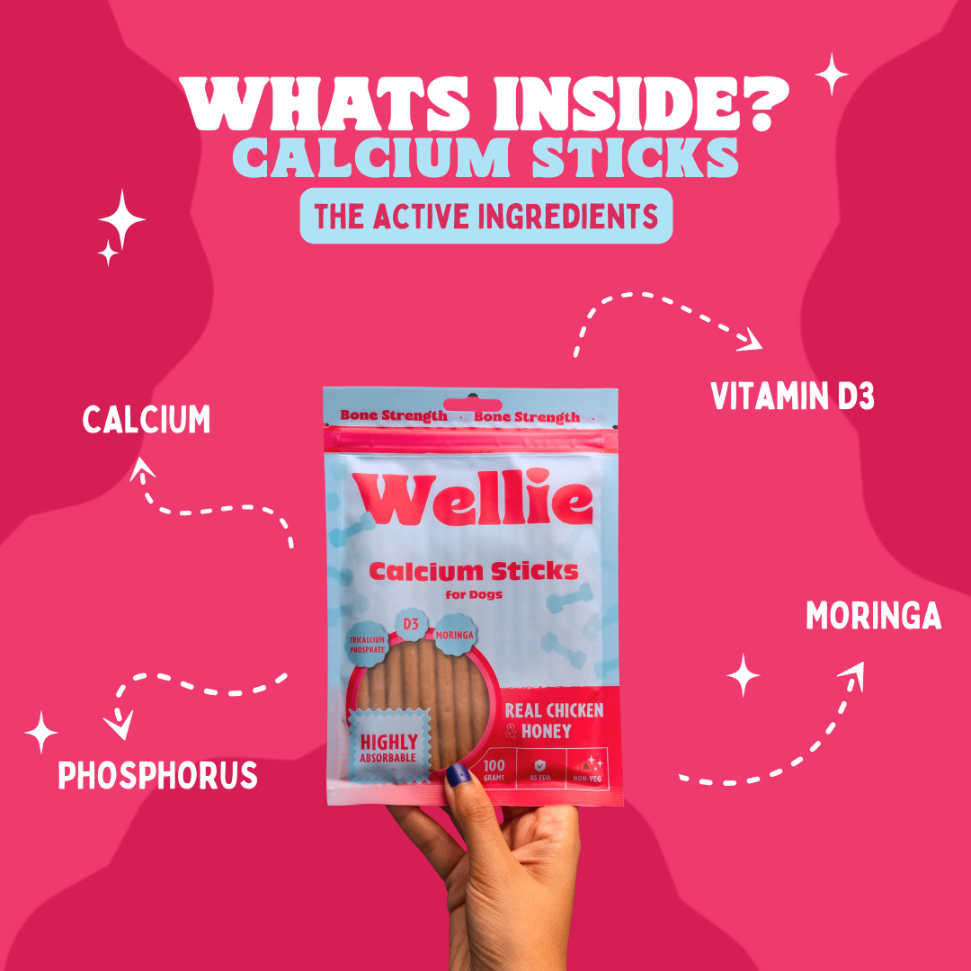 Wellie Calcium Sticks for dogs packaging with active ingredients on a pink background