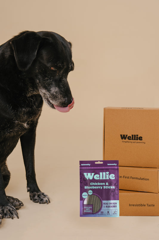 Wellie Chicken and Blueberry Sticks
