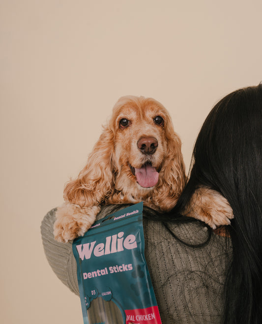 Wellie Dental Sticks