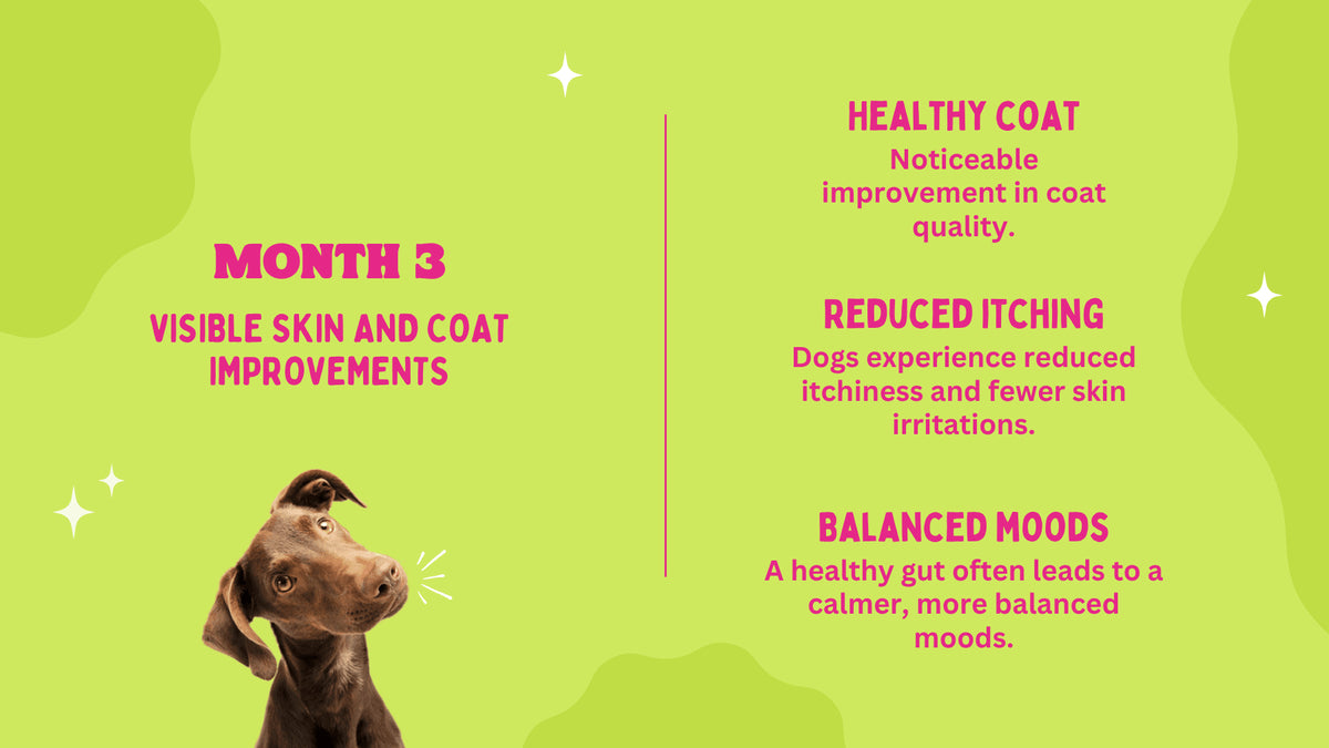 Dog with text on a green background about visible skin and coat improvements, reduced itching, and balanced moods.