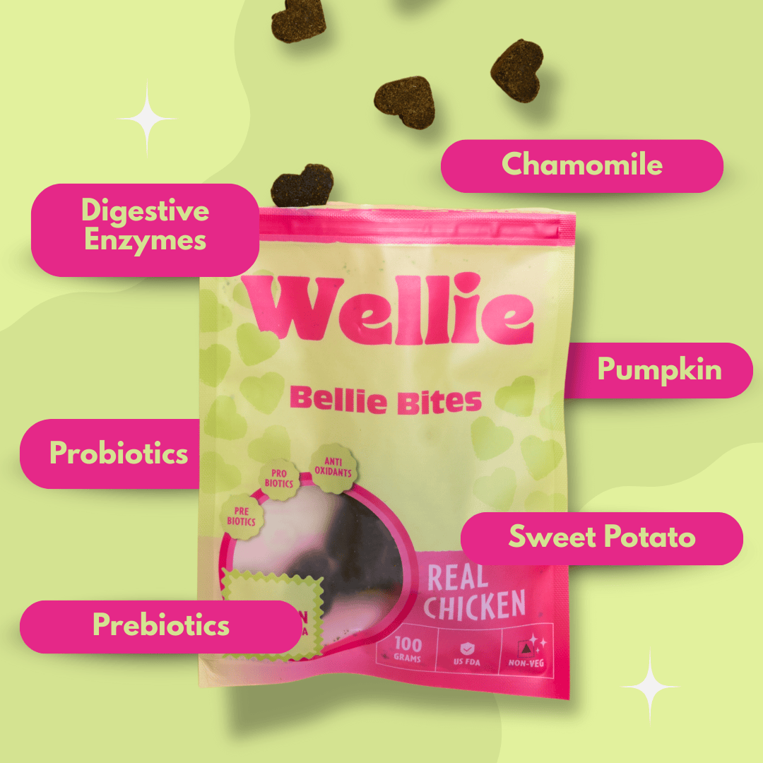 Wellie Bellie Bites packaging with ingredients listed on a green background