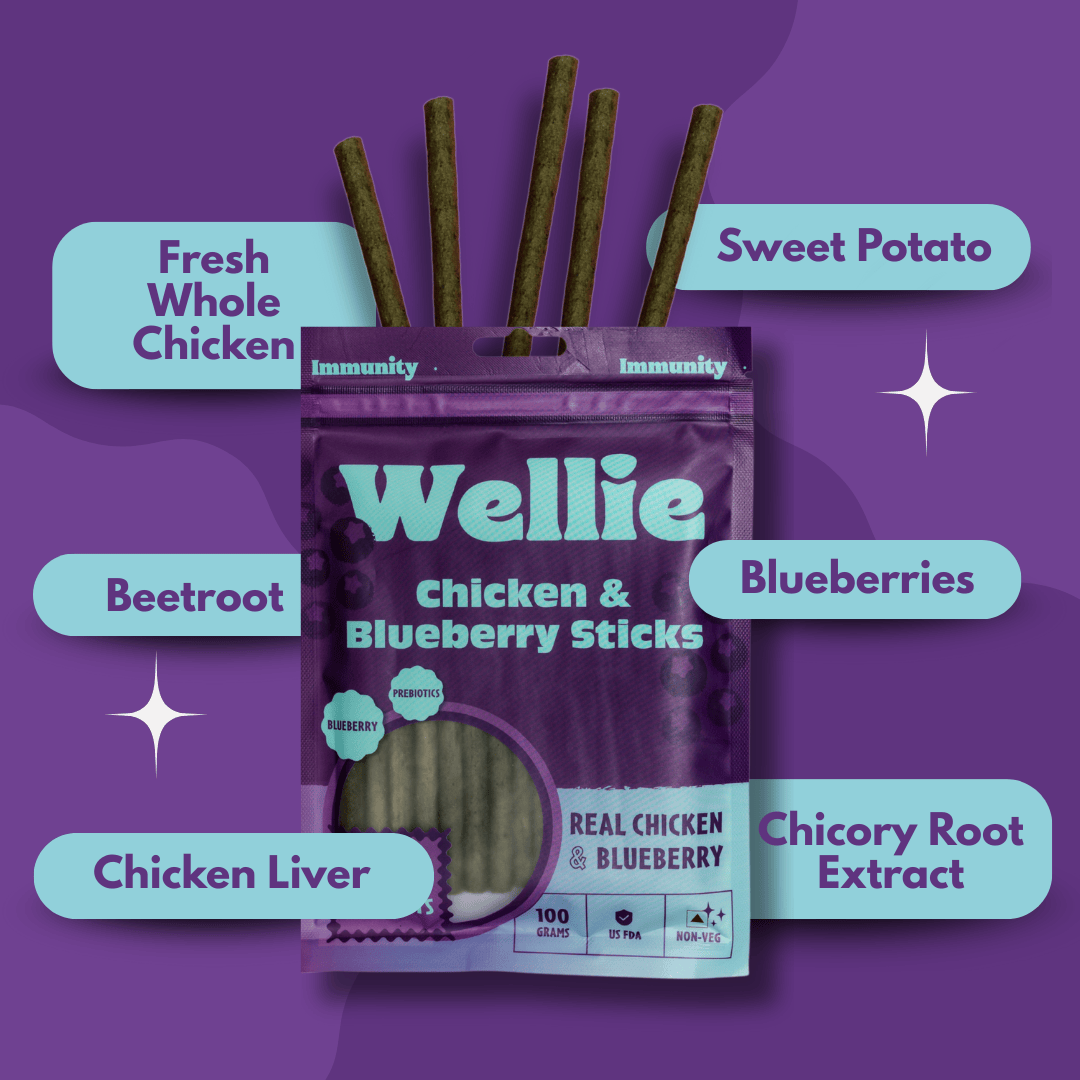 Wellie Chicken and Blueberry Sticks