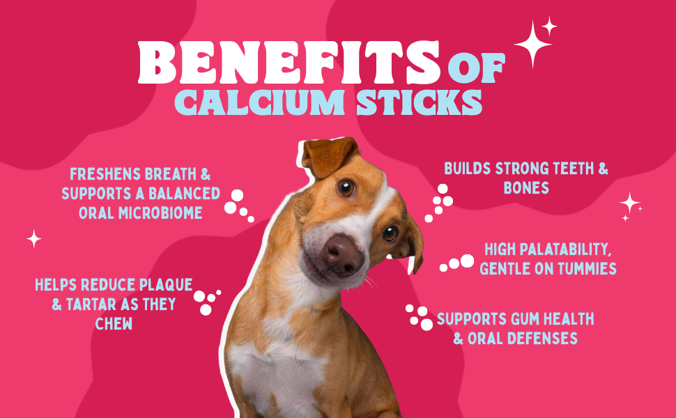 Dog with text listing benefits of calcium sticks on a pink background