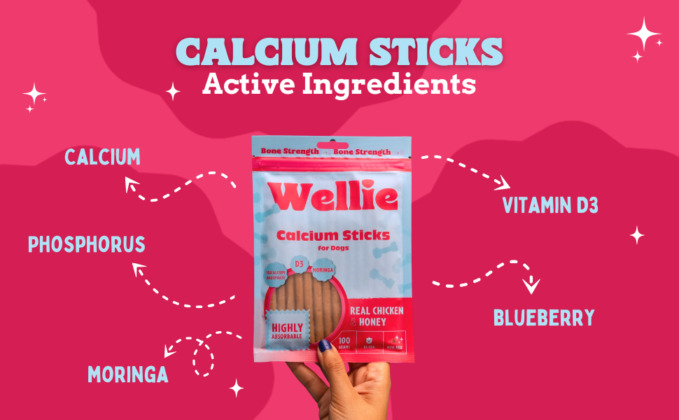 Wellie Calcium Sticks packaging with active ingredients on a pink background