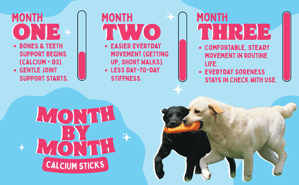Infographic showing the benefits of calcium sticks for dogs over three months with two dogs holding a stick.