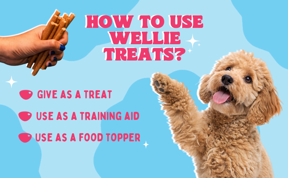 Dog with treats and text on how to use Wellie Treats against a blue background