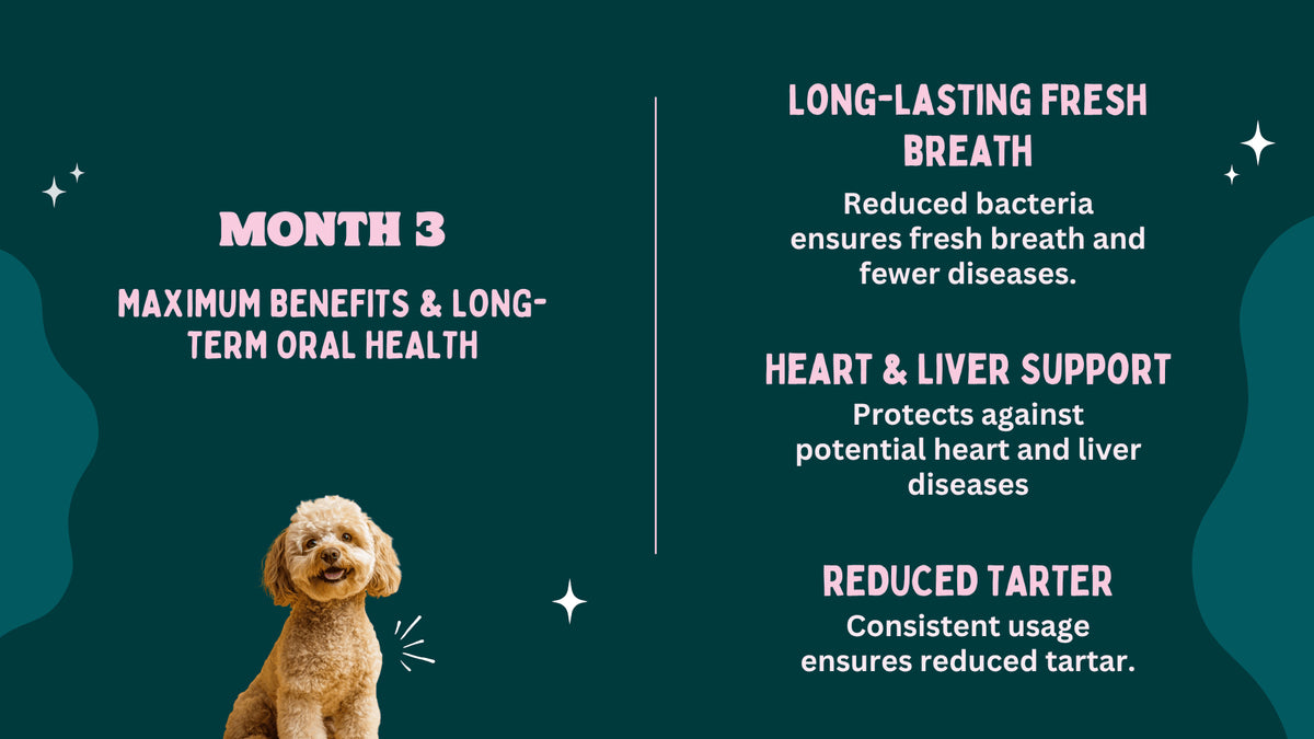 Dog with text about month 3 benefits of a dental care product on a dark green background