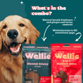 Load image into Gallery viewer, Wellie Dental Sticks and 8-in-1 Multivit Bites
