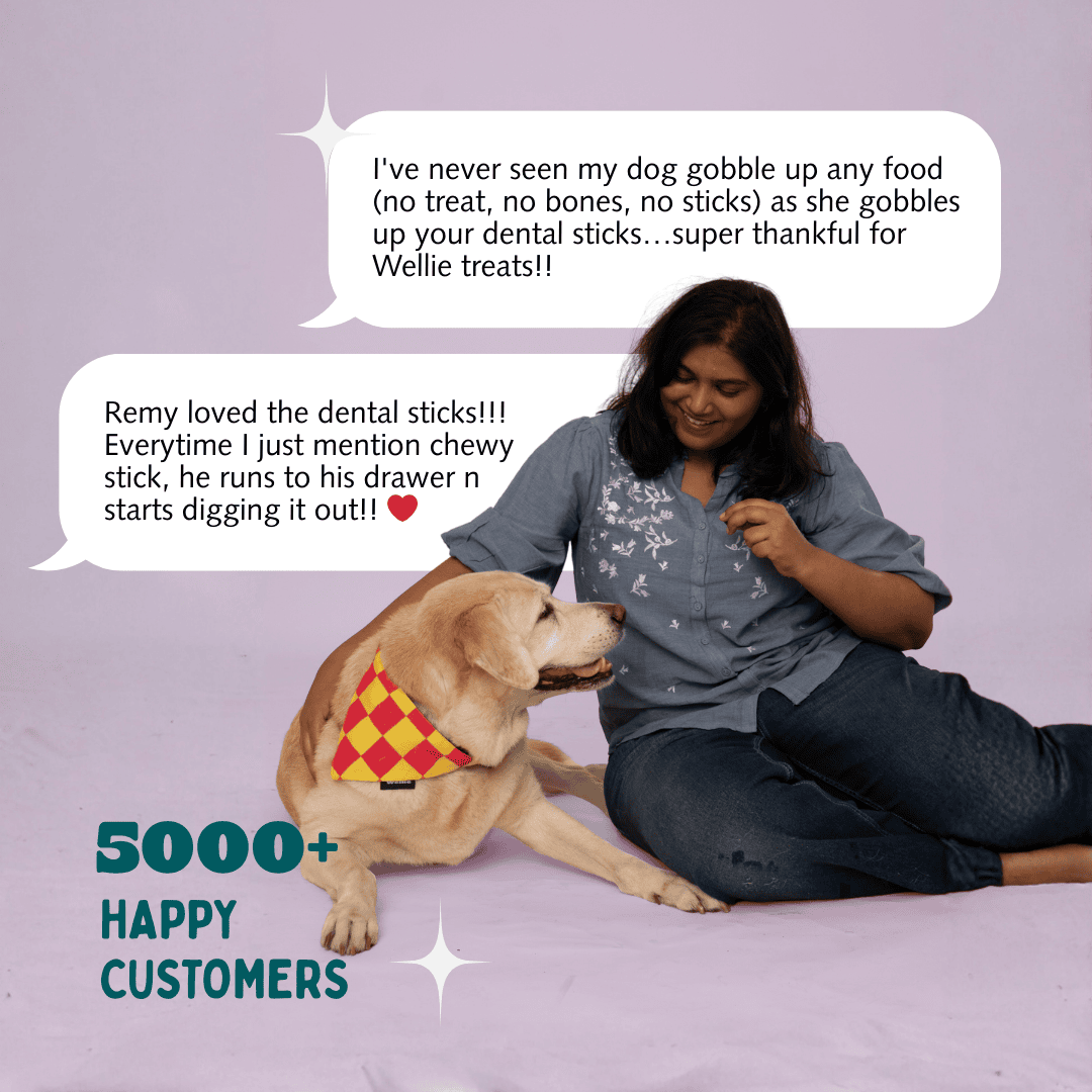 Woman sitting with a dog, both looking at dental sticks, with text about customer satisfaction.