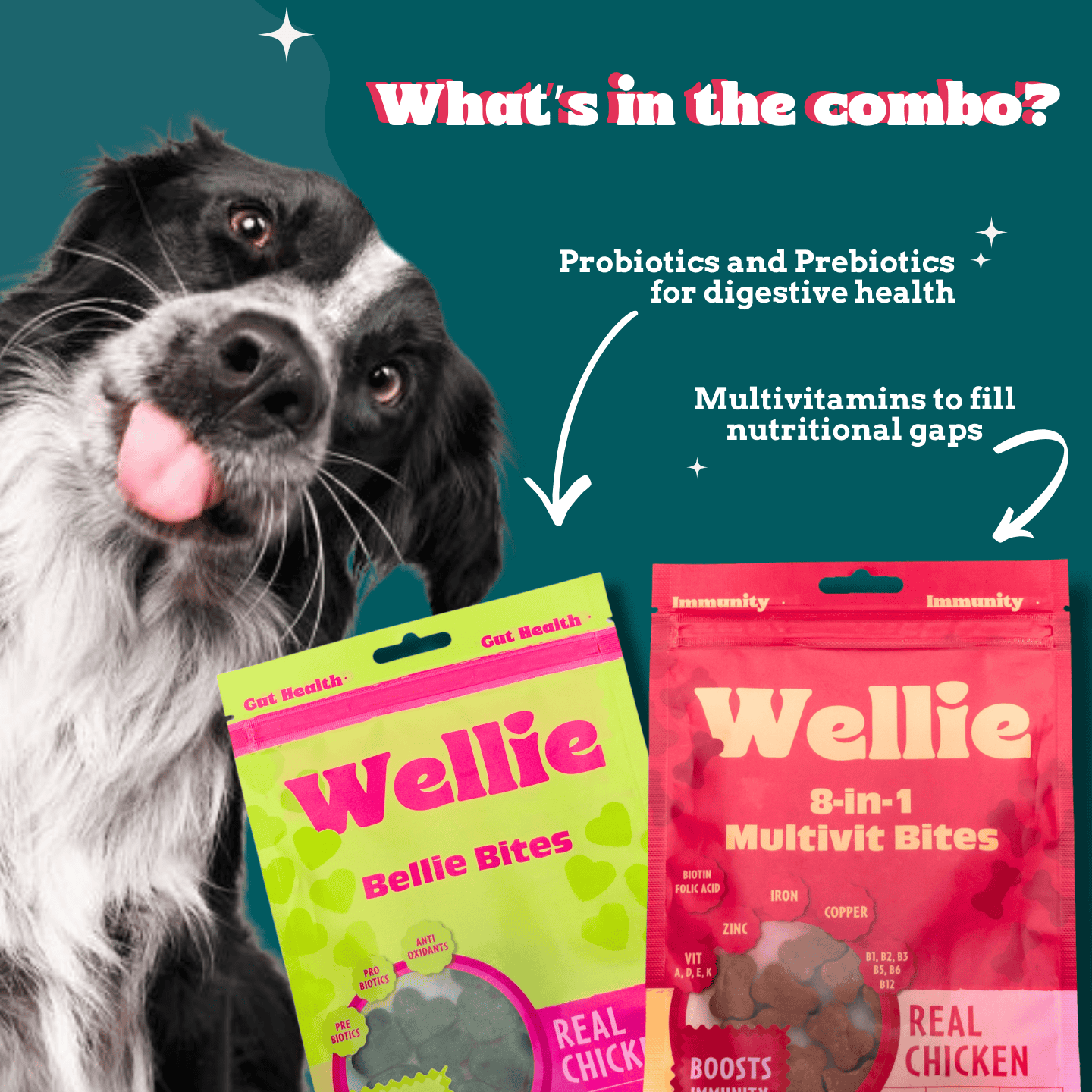 Wellie 8-in-1 Multivit Bites and Bellie Bites