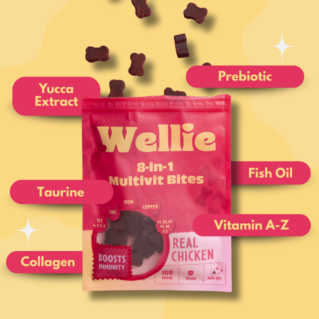 Wellie 8-in-1 Multivit Bites packaging with ingredients listed on a yellow background