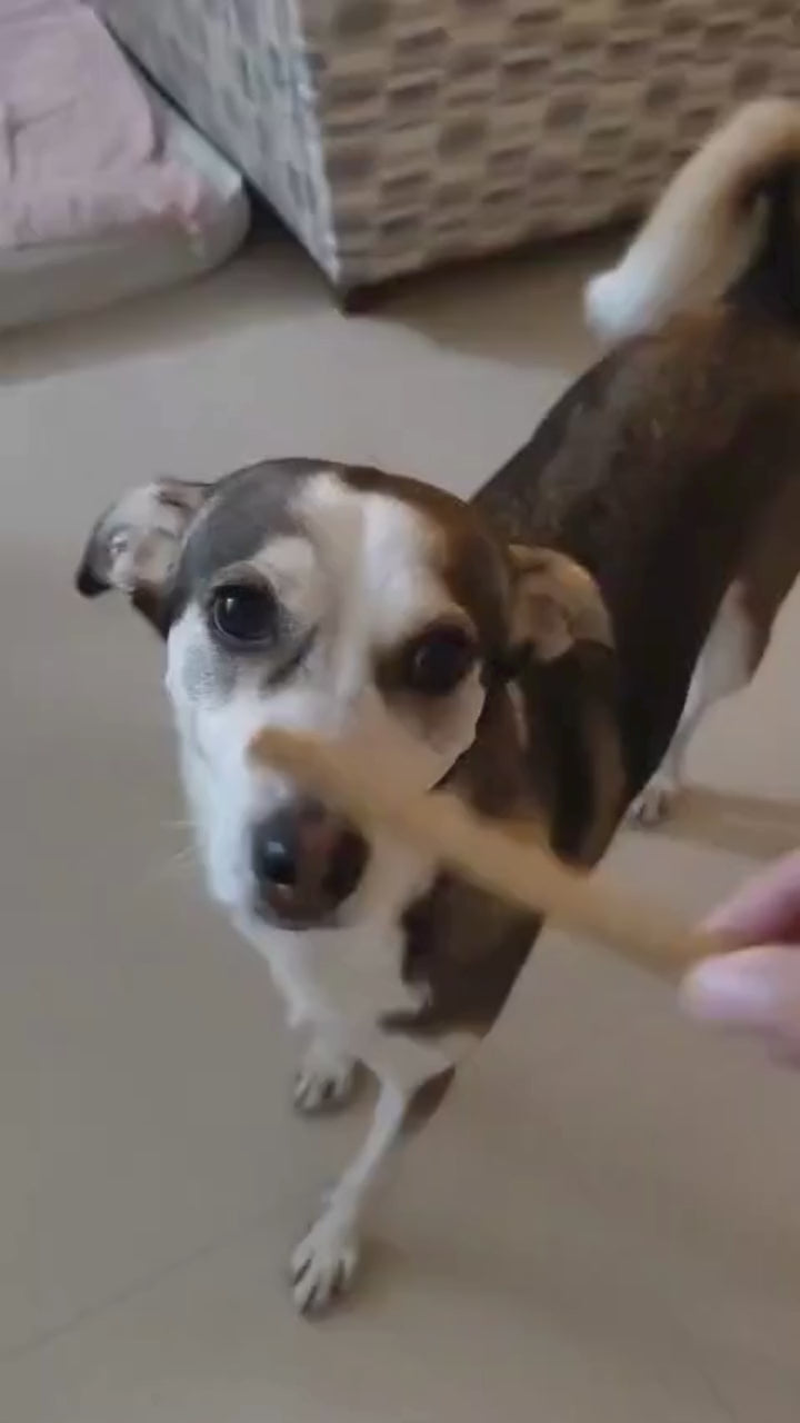 video of a dog loving the Wellie Calcium Sticks