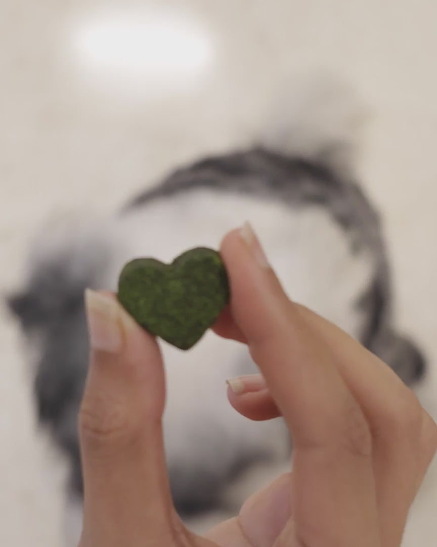 video of a cute dog eating Wellie Bellie Bites