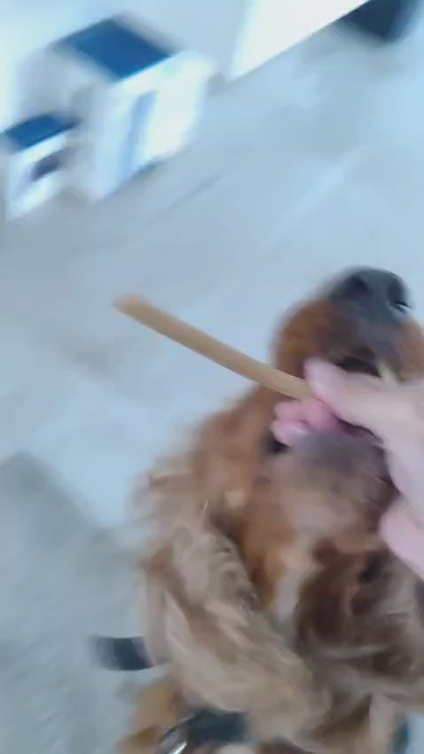 video of a dog loving the Wellie Calcium Sticks