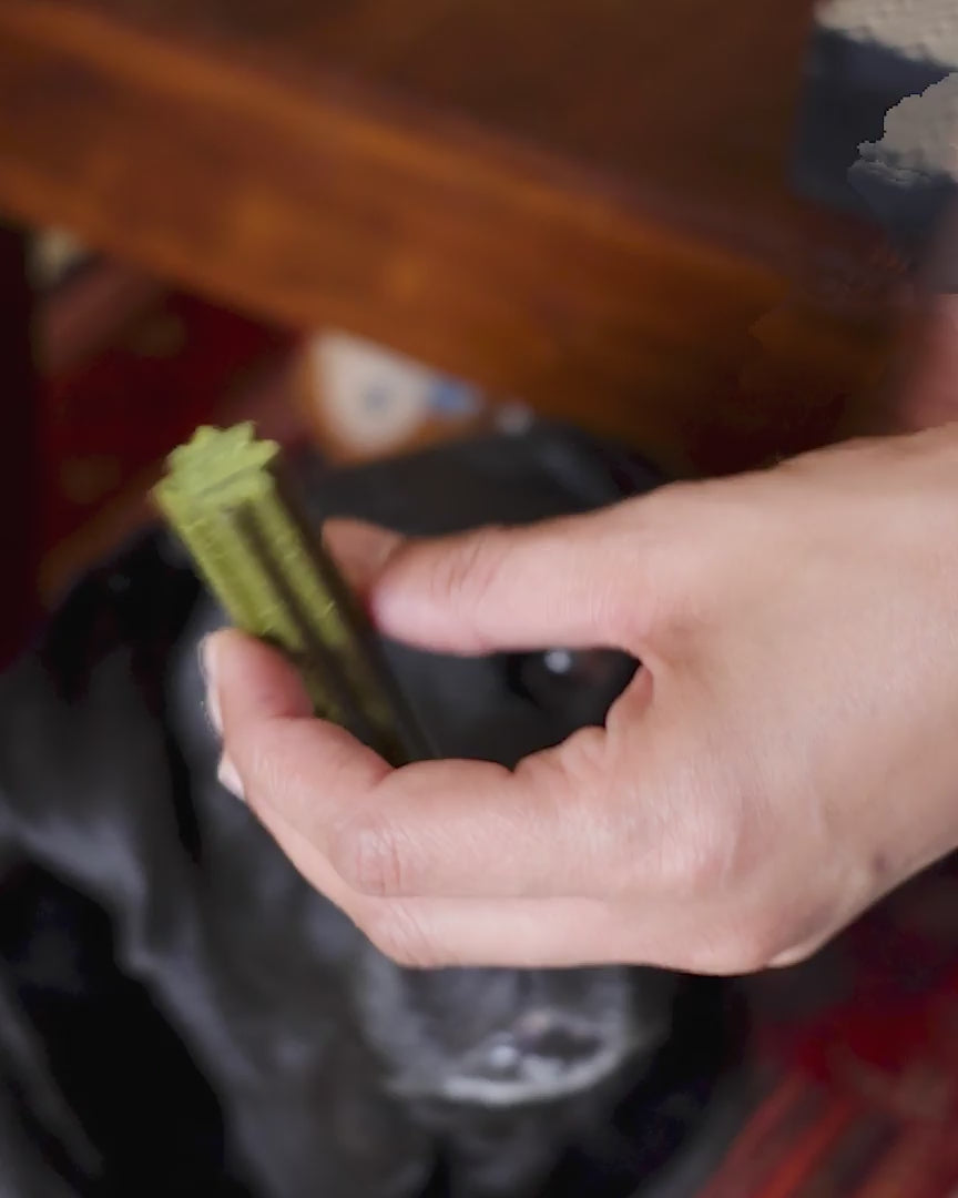 video of a dog chewing on Wellie dental sticks