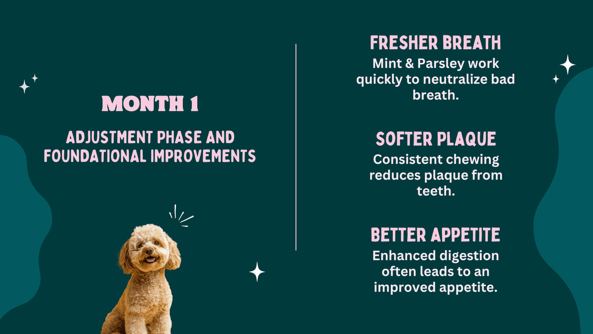 Dog with text about dental health benefits on a green background